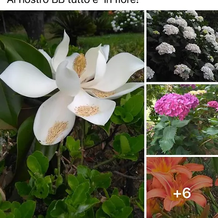 住宿加早餐酒店 Da Cinzia 庞特卡格纳诺