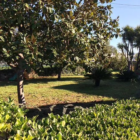 Da Cinzia 住宿加早餐酒店 3*